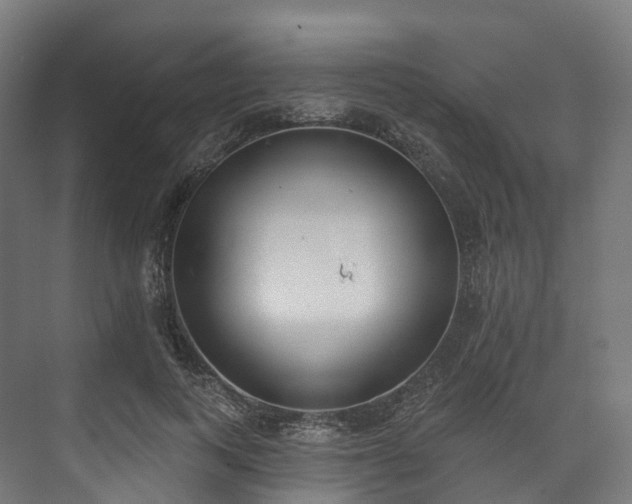 X0000073480743200608071020