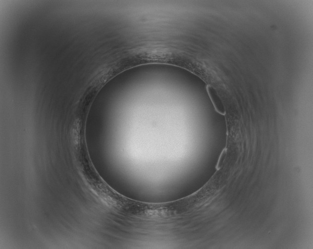 X0000073480744200608071020