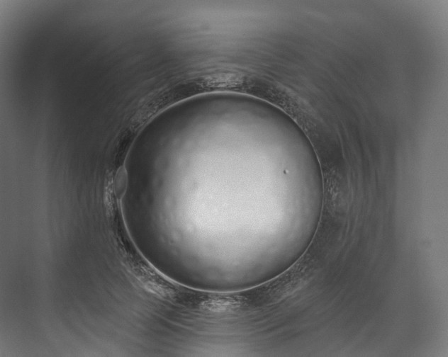 X0000073480745200608071020