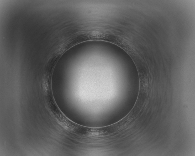 X0000073480746200608071020