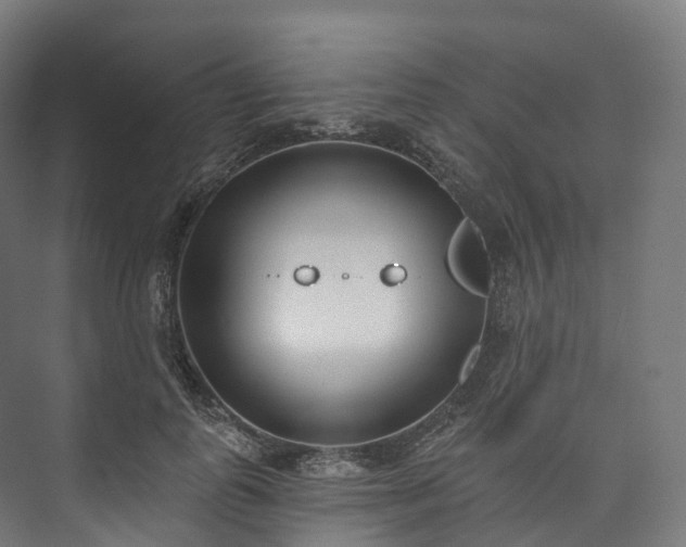 X0000073480747200608071020