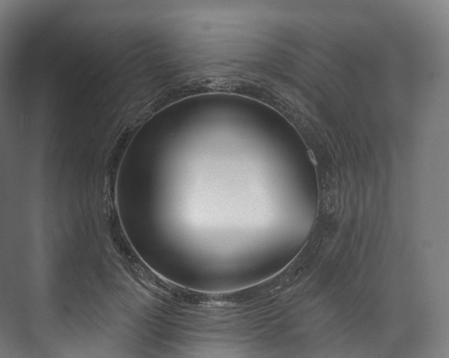 X0000073480748200608071020