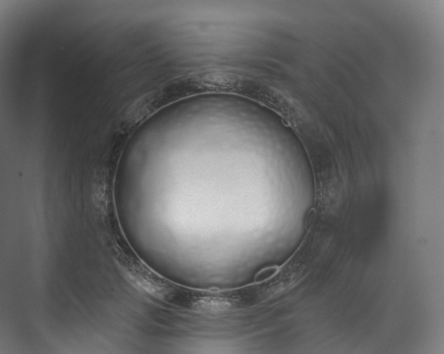 X0000073480749200608071020