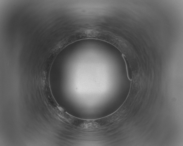 X0000073480752200608071020