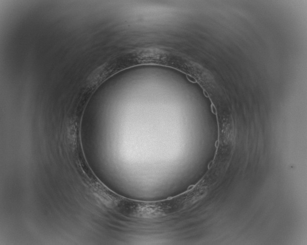 X0000073480753200608071020