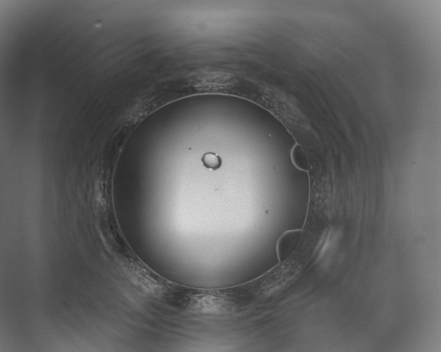 X0000073480755200608071020