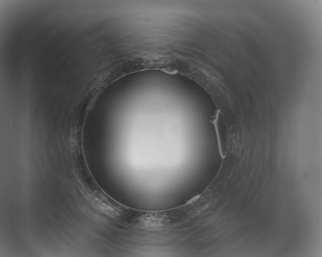 X0000073480756200608071020