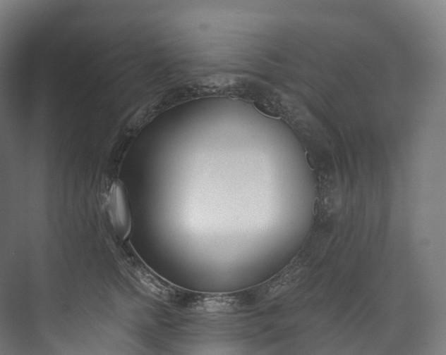 X0000073480758200608071020