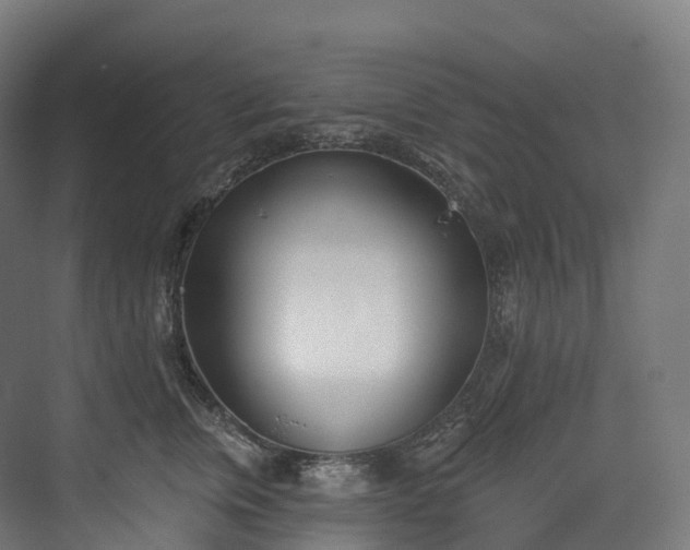 X0000073480759200608071020