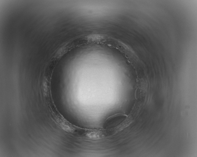 X0000073480761200608071020