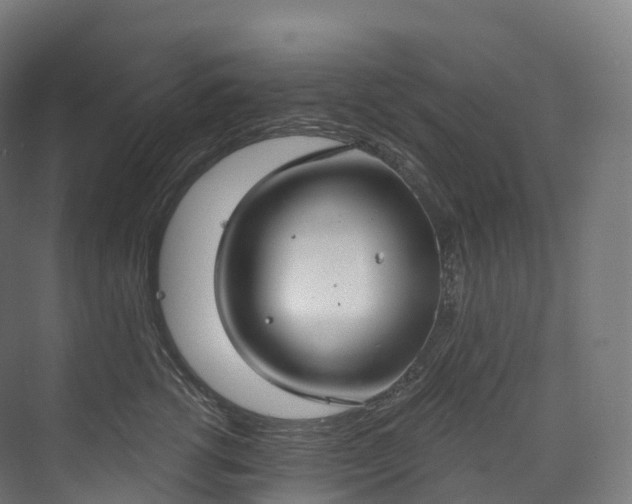 X0000073480762200608071021