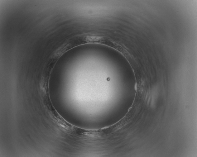 X0000073480763200608071021