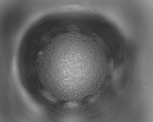 X0000073480765200608071021