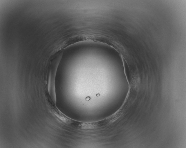 X0000073480766200608071021