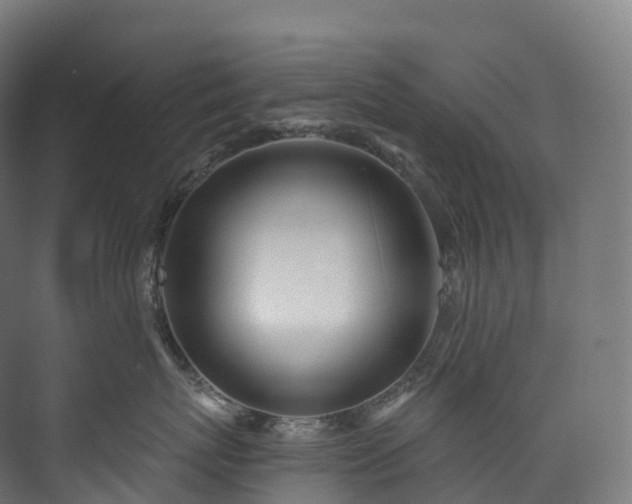 X0000073480767200608071021