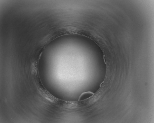 X0000073480768200608071021