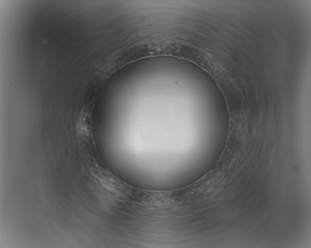 X0000073480770200608071020