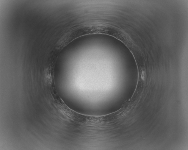 X0000073480771200608071020