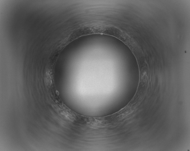 X0000073480772200608071020