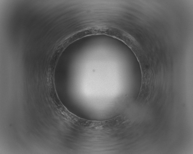 X0000073480773200608071020