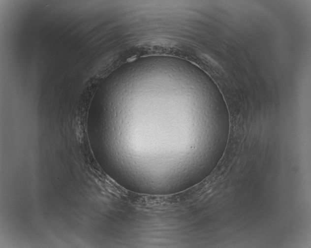 X0000073480774200608071020