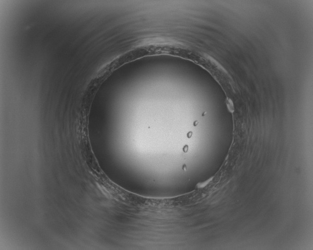 X0000073480775200608071020