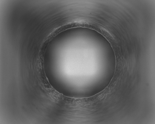 X0000073480776200608071020