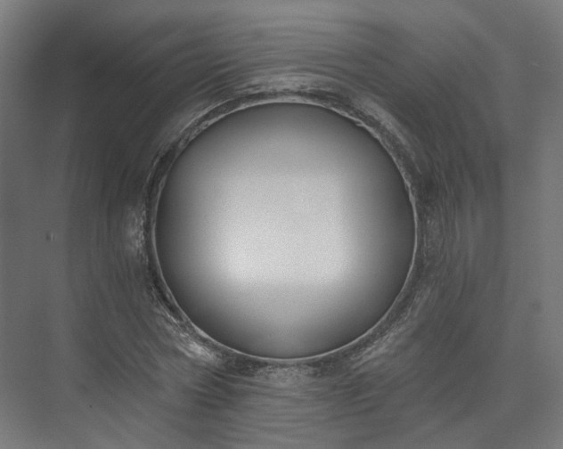 X0000073480778200608071020