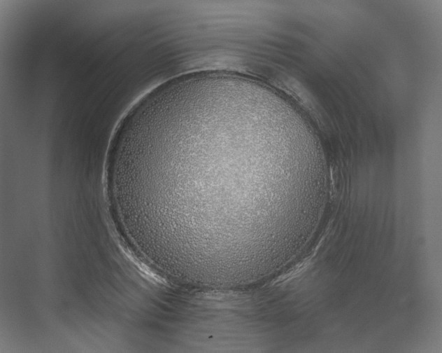 X0000073480780200608071020