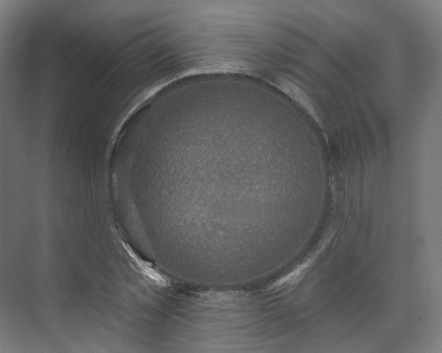 X0000073480781200608071020