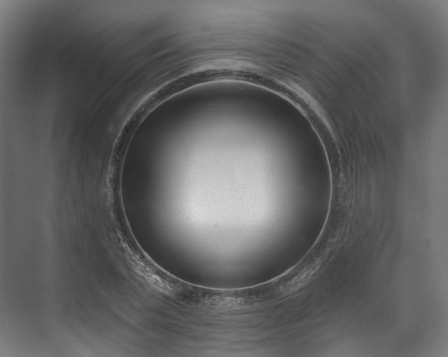 X0000073480783200608071020