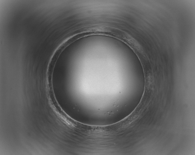 X0000073480784200608071020