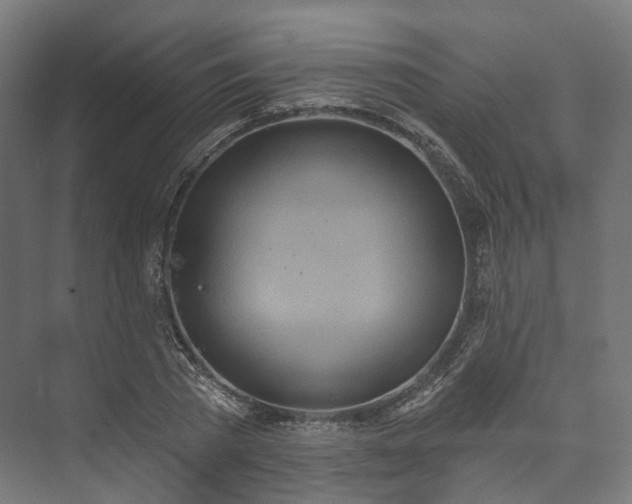 X0000073480785200608071020