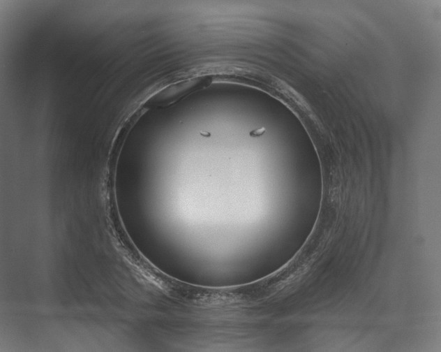 X0000073480786200608071020