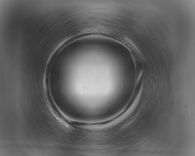 X0000073480788200608071019