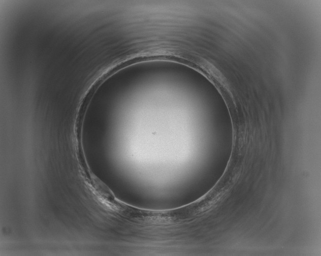 X0000073480789200608071019