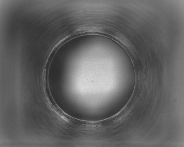 X0000073480790200608071019