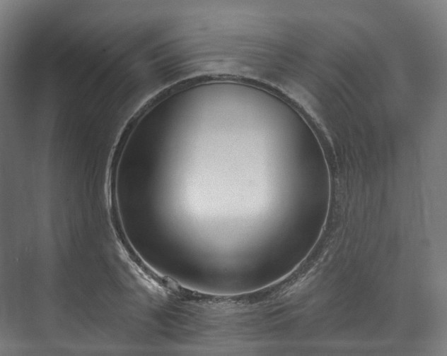 X0000073480791200608071019