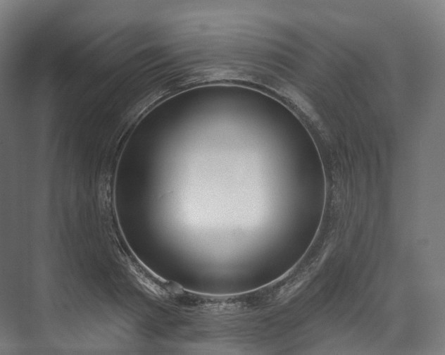 X0000073480793200608071019