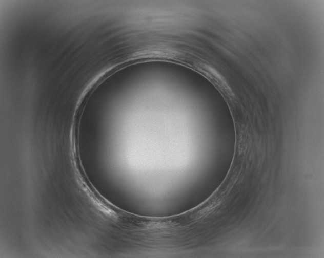 X0000073480796200608071019