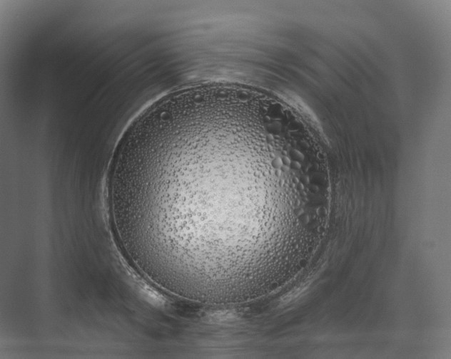 X0000073480798200608071019