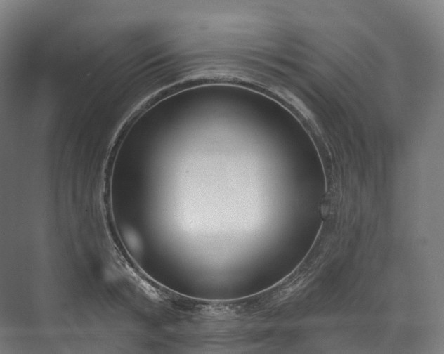 X0000073480799200608071019