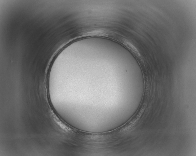 X0000073480800200608071019