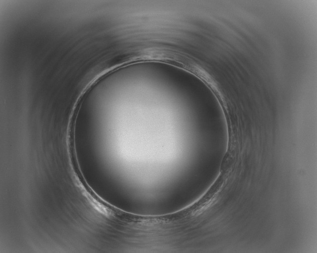 X0000073480803200608071019