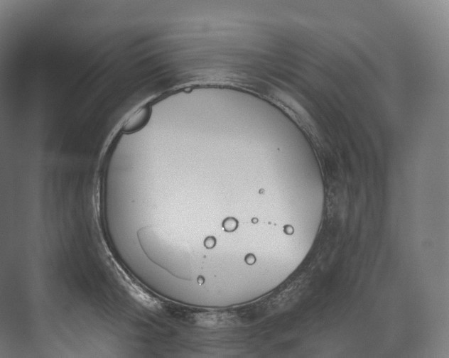 X0000073480804200608071019