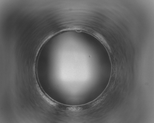 X0000073480805200608071019