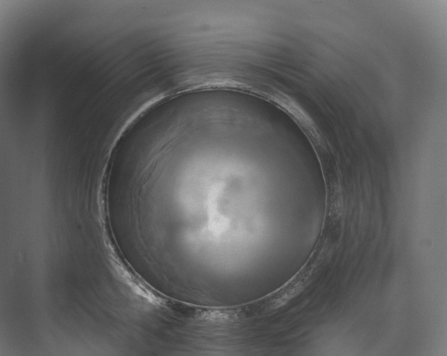 X0000073480806200608071019