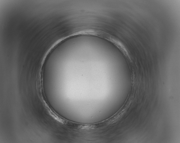 X0000073480808200608071019