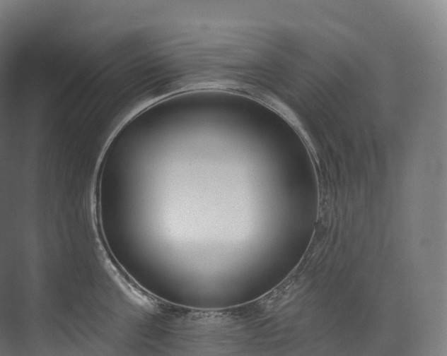 X0000073480811200608071019