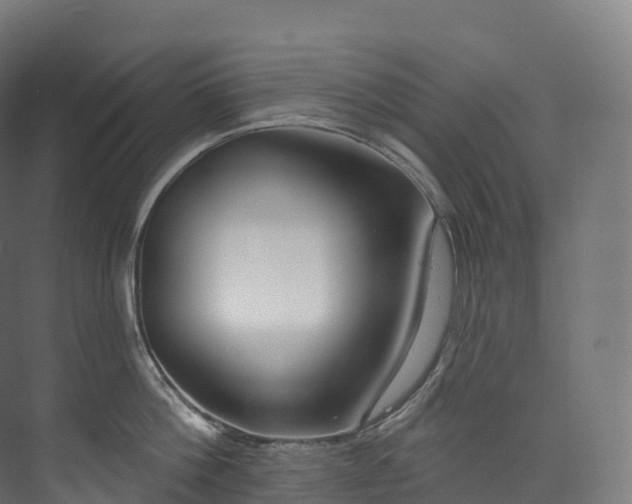 X0000073480812200608071019